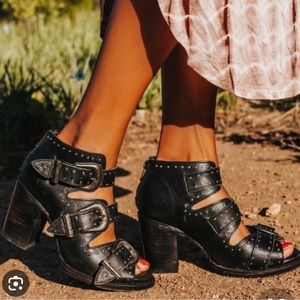 Freebird by Steve Madden “violet”